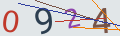 verifycode